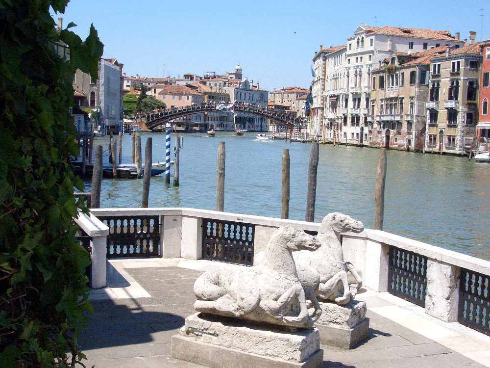 museo guggenhein di venezia terrazza panoramica