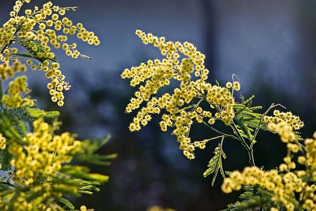Festa della Donna a Venezia: le idee alternative per festeggiare