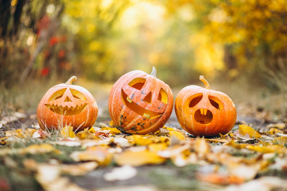 Halloween 2023 Venezia