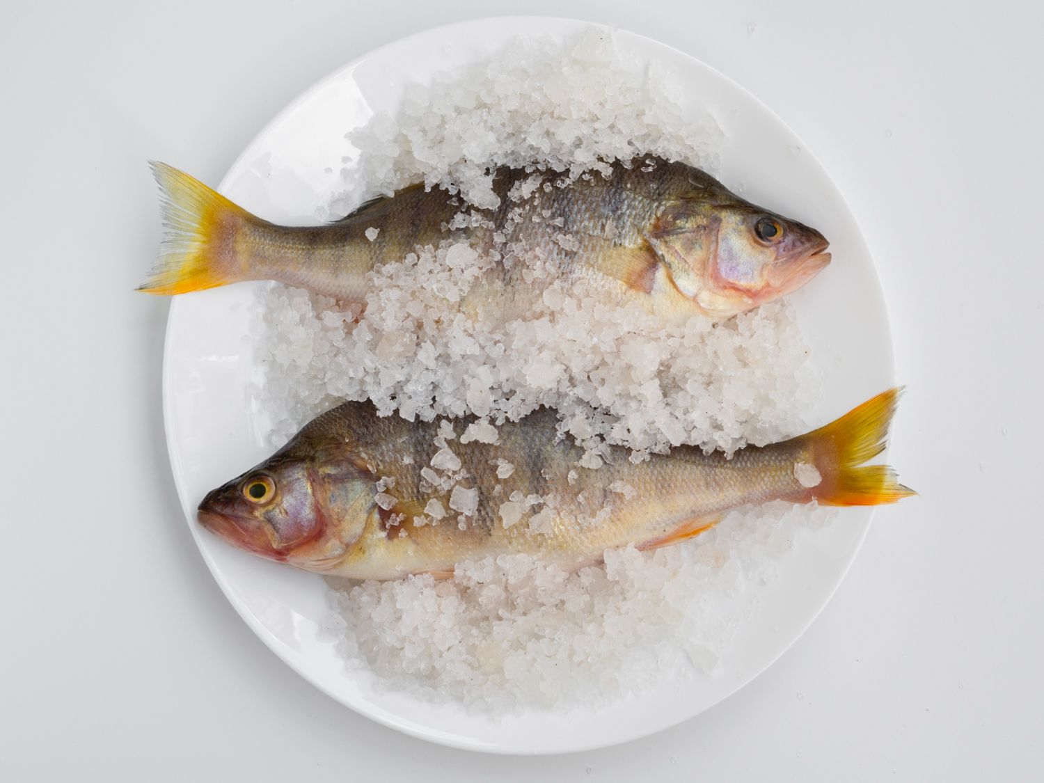 Come si chiamano le osterie tipiche veneziane? Guida esaustiva!