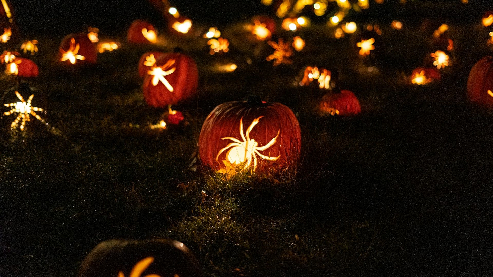 Festa di Halloween a Venezia 2025